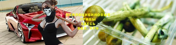 тгк Алзамай